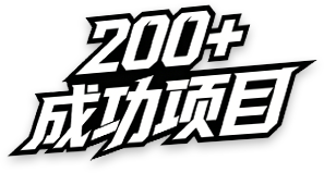 200+成功项目