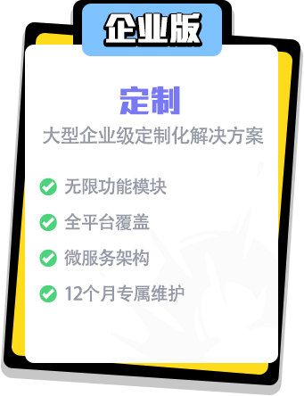 企业版 定制